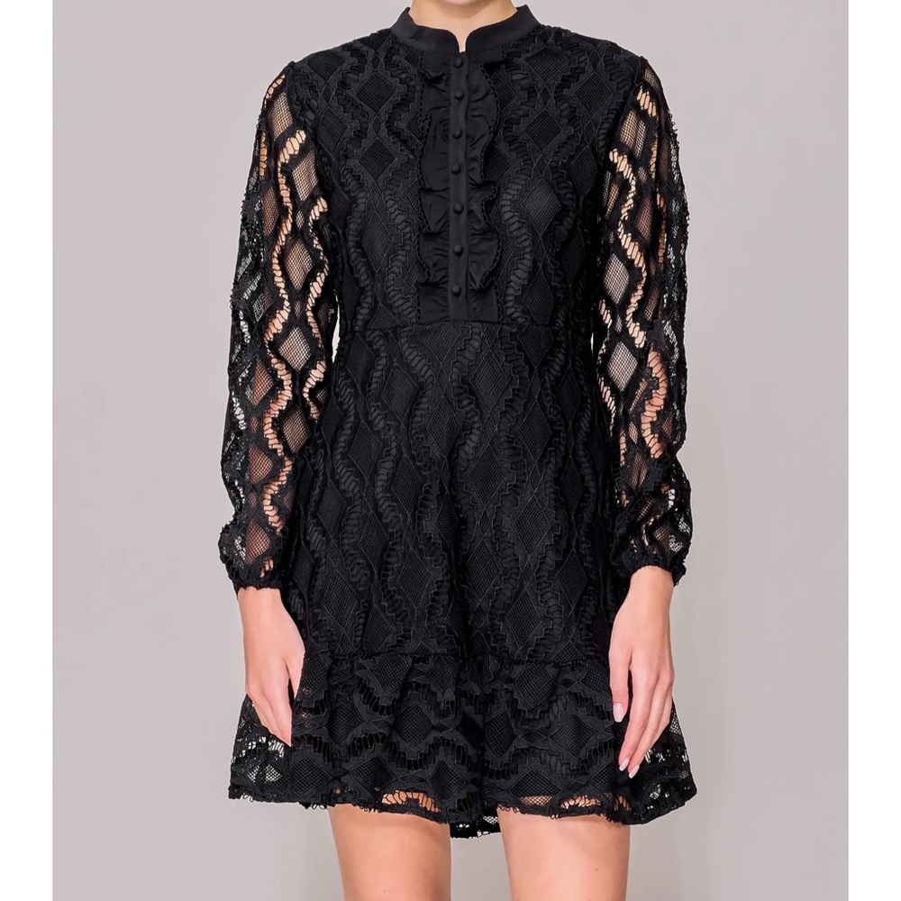 Elegant Black Lace Mini Dress – $20